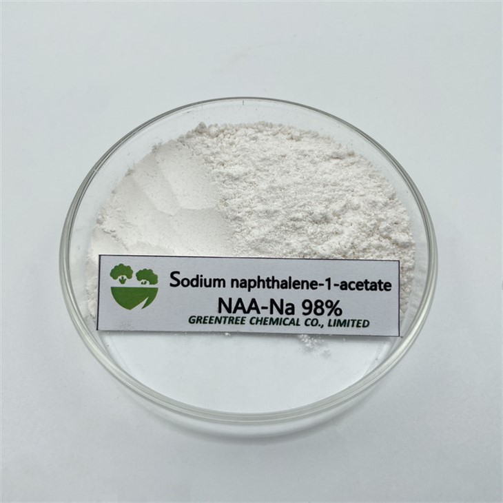 SỐ CAS 61-31-4 98% NA-NAA 98% 1-Axit Naphthaleneacetic Natri Muối Auxin Alpha