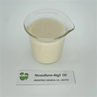 SỐ TRƯỜNG HỢP 111991-09-4 Thuốc diệt cỏ Nicosulfuron 40 G/L OD