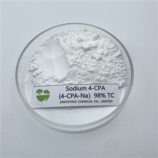 SỐ TRƯỜNG HỢP 13730-98-8 4-Muối natri của axit chlorophenoxyacetic; 4-CPA-NA 98 phần trăm hòa tan trong nước