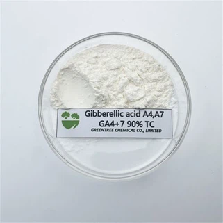 Ga4+7 90% Tc Gibberellin Axit Gibberellic Từ Hóa Chất Nông Nghiệp