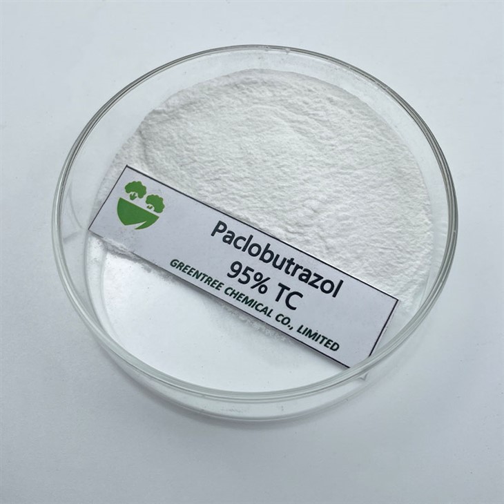 C15H20ClNO3 Paclobutrazol 95% Tc Pgr để kiểm soát sự phát triển quá mức