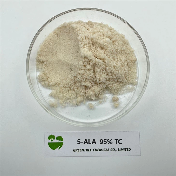 C5H10NO3CL 5- aminolevulinic acid 5- ALA 95% tăng năng suất cây trồng