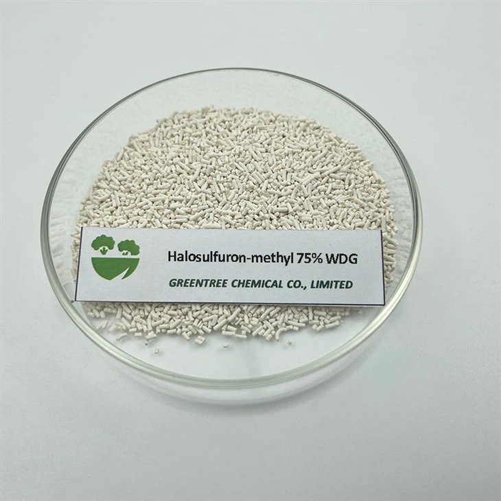 Thuốc diệt cỏ Halosulfuron Methyl 75% Wdg dành cho cỏ dại lá rộng